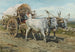 Bœufs transportant du foin - Henry Enrico Coleman — artwork view