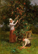 In the orchard, Couen, France - Henry George Todd — artwork view