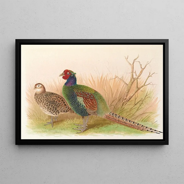 Green Japanese Pheasant Painting - Henry Jones — framed artwork on a wall