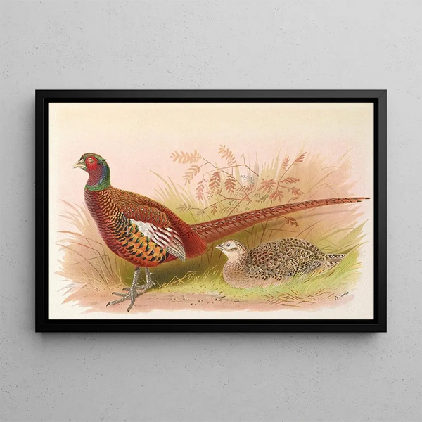 Prince of Wales Pheasant Painting - Henry Jones — framed artwork on a wall