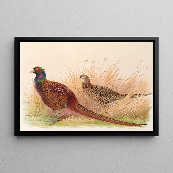 Caucasian Pheasant Painting by Rion - Henry Jones — framed artwork on a wall