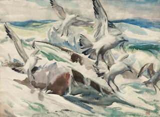 Henry Keller - Gulls Feeding.webp