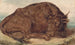 Sleeping Bull - Henry Kirke Brown — artwork view
