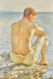 Looking at the sea - Henry Scott Tuke — artwork view