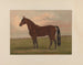 Almont - Henry Stull — artwork view