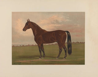 Almont - Henry Stull — artwork view