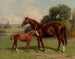 Castalie et le poulain - Henry Stull — artwork view