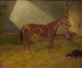 a racing horse in a stable - Henry Stull — artwork view