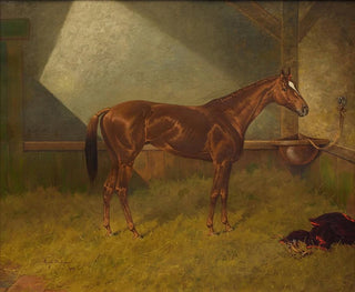 a racing horse in a stable - Henry Stull — artwork view