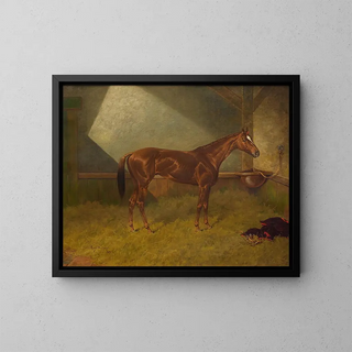 a racing horse in a stable - Henry Stull — framed artwork on a wall