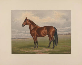 Harold - Henry Stull — artwork view