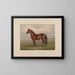 Harold - Henry Stull — framed artwork on a wall