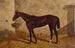 Hindu painting in a stable - Henry Stull — artwork view