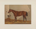 Luke Blackburn - Henry Stull — artwork view