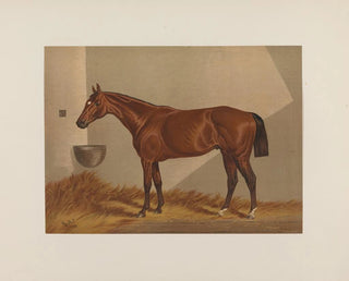 Luke Blackburn - Henry Stull — artwork view