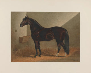 Messenger Duroc - Henry Stull — artwork view
