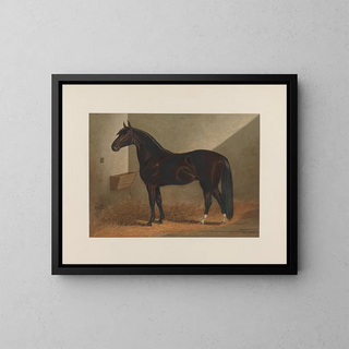 Messenger Duroc - Henry Stull — framed artwork on a wall