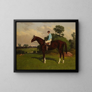 Nasturtium with jockey in saddle - Henry Stull — framed artwork on a wall