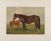 Nevada Painting - Henry Stull — artwork view