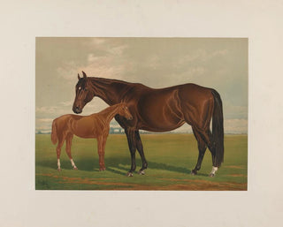 Nevada Painting - Henry Stull — artwork view