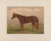 Piémont - Henry Stull — artwork view