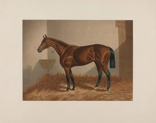 Horse of Ten Broeck Bay - Henry Stull — artwork view