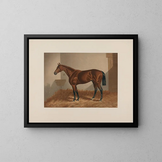 Horse of Ten Broeck Bay - Henry Stull — framed artwork on a wall