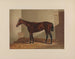 Thora - Henry Stull — artwork view