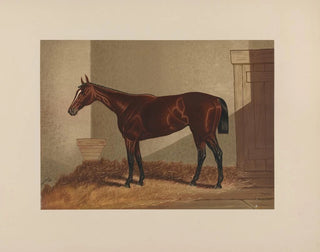 Thora - Henry Stull — artwork view