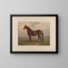 The Largest Living Trotting Stallion - Henry Stull — framed artwork on a wall