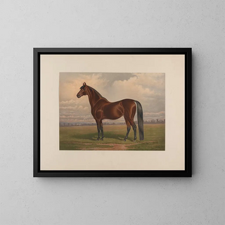 The Largest Living Trotting Stallion - Henry Stull — framed artwork on a wall