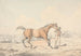 A stable hand leading a bay horse - Henry Thomas Alken — artwork view