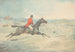 Cavalier sur un cheval brun sautant un mur - Henry Thomas Alken — artwork view