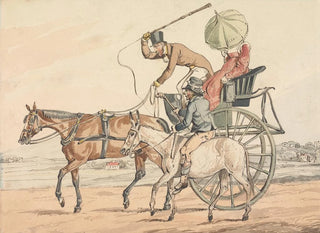 Sports Discoveries or the Miseries of Driving reveal to you that you have achieved a regular driving - Henry Thomas Alken — artwork view
