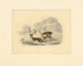 Two deer near a fence running - Henry Thomas Alken — artwork view