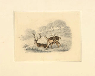 Two deer near a fence running - Henry Thomas Alken — artwork view