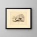 Two deer near a fence running - Henry Thomas Alken — framed artwork on a wall
