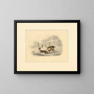 Two deer near a fence running - Henry Thomas Alken — framed artwork on a wall