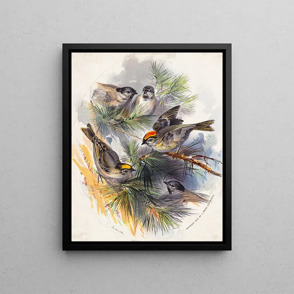 Birds - Henry Walker Herrick — framed artwork on a wall