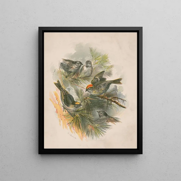 Birds on Pine Branches - Henry Walker Herrick — framed artwork on a wall