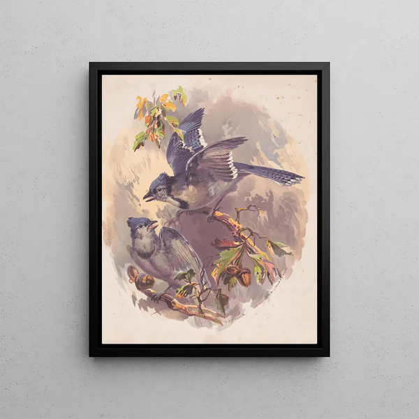 Les Blue Jays - Henry Walker Herrick — framed artwork on a wall