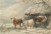Cows in Winter - Henry Willis — artwork view