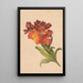 Gazka laku - Henryka Beyer — framed artwork on a wall