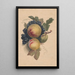 Peaches and Grapes - Henryka Beyer — framed artwork on a wall