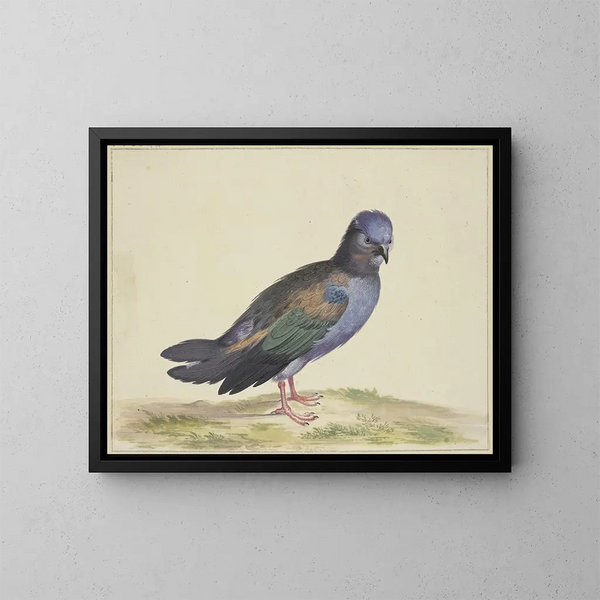 a blue dove with green and black wings - Herman Henstenburgh — framed artwork on a wall