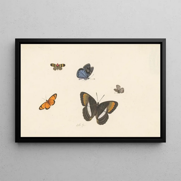 Five Butterflies - Herman Henstenburgh — framed artwork on a wall