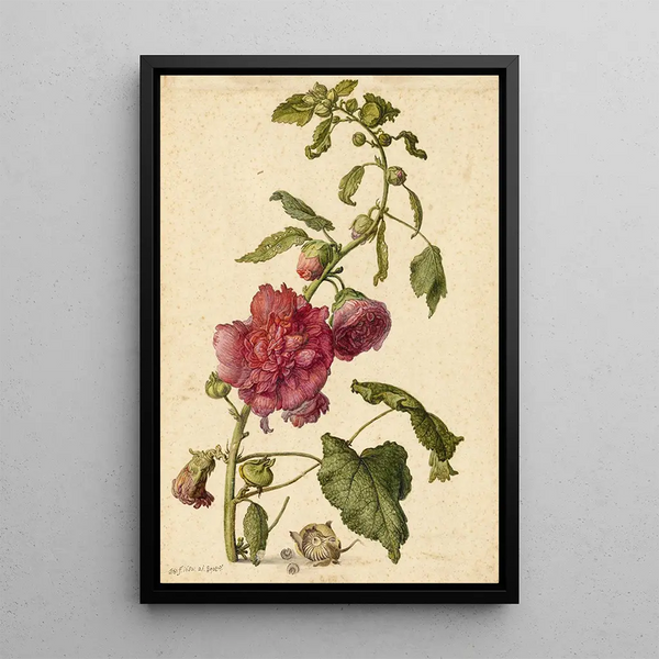 A hollyhock - Herman Saftleven — framed artwork on a wall