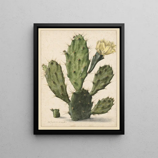 Cactus à figues de Barbarie en fleurs - Herman Saftleven — framed artwork on a wall