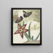 two butterflies and a yellow-violet flower with five petals - Hermanus de Wit — framed artwork on a wall