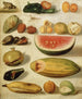 Still life with fruits, scorpion, and frog - Hermenegildo Bustos — artwork view